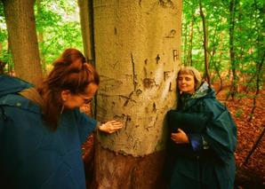 A forest with vibrant green and brown colors. Two women in rain ponchos stand next to a large tree; one presses her face against it while the other touches it with her hand.