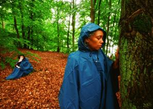 A lush green forest after rain. Two people in rain ponchos; one sits on the ground while the other in the foreground touches a moss-covered tree with focus.