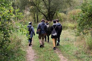 A forest path surrounded by greenery, people walking into the forest, seen from behind.