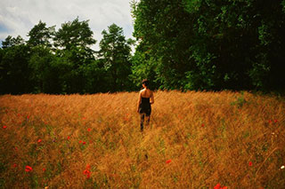 A golden meadow in the middle of a forest, with blooming poppies. A woman stands in the meadow, seen from behind.