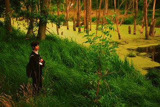 In a forest with lush green grass, a small pond covered with duckweed is visible, surrounded by trees. On the slope by the water stands a person, looking thoughtful.