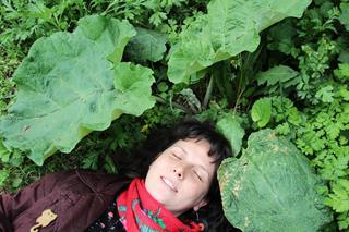 A person with fair skin lying on the ground among large burdock leaves, wearing a red scarf, eyes closed, smiling.