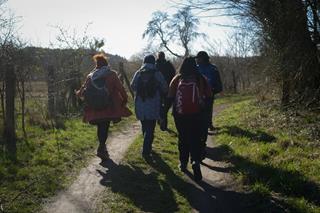 People seen from behind, walking into the forest, dressed warmly with backpacks.