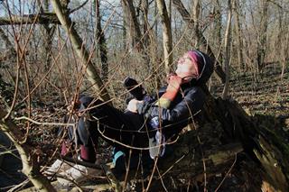A person dressed warmly, sitting among leafless trees in winter, surrounded by branches in a wild park, looking toward the sun.
