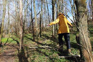On a hillside in a park among grass, a person in a warm jacket balances on a fallen tree, seen from behind.
