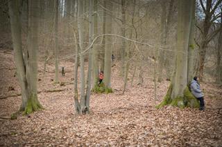 A beech forest in winter with tall leafless trees. At each tree, a person sits, spending time in contemplation.