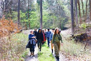 A group of people walking along a forest path in a sunny winter forest, led by a forest therapy guide at the front.