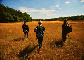 At the edge of a forest, a golden sunlit meadow with three people wearing backpacks walking into it. Summer scene.
