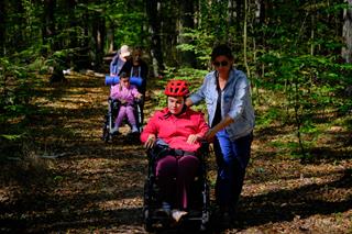 A forest path where two people in wheelchairs are moving forward, each assisted by a helper.