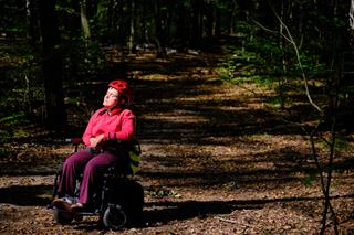 A forest with light and shadow. On a forest path, a person in a wheelchair sits facing the sun.