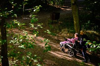 Two people in an autumn forest, seen from a distance, going up a path. One is in a wheelchair, and the other is pushing it.