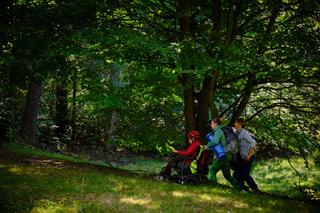 Three people in an autumn forest, seen from a distance, going up a path. One is in a wheelchair wearing a helmet, another is pushing the wheelchair, and the third walks beside them.