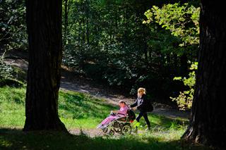 Two people in a forest on a sunny day, seen from a distance between the trees. One is sitting in a wheelchair, and the other is pushing it.