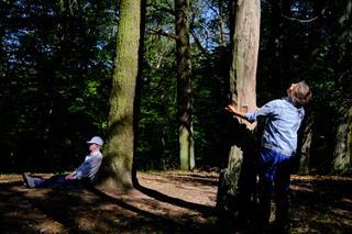 Scene in a sunny forest. One person stands, hugging a tree and looking up at its canopy, while another person sits on the ground in the distance, legs stretched out, leaning against another tree
