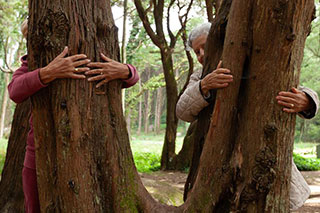 Two large trees with reddish bark, each hugged by an older person, their hands wrapped around the trunks.