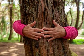 An older person hugging a tree, their hands clasped around the trunk, partially hidden behind it.