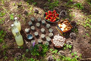 On the ground among leaves and grass, a picnic is laid out with bottles, small cups, and containers of strawberries, cookies, and nuts.