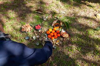 A picnic laid out on the ground with mandarins, small cups, and containers of snacks, with a person's arm visible preparing the meal.