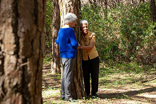 Among trees, two older women with gray hair, wearing sweaters and long pants, stand hugging the same tree, as if listening to something.