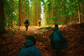 A fairytale-like forest with lush green foliage. People in rain ponchos walk into the forest, seen from behind, with a forest therapy guide leading at the front.