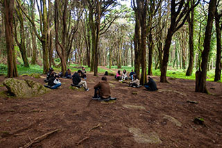A brown, Mediterranean-like forest with green grass in the distance. People are sitting on mats on the ground in the background.