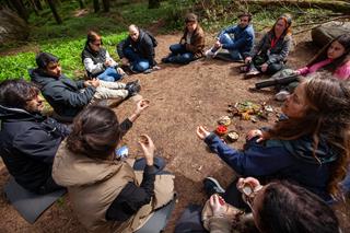 People sitting on the ground in a forest in a group, seen from above. One person is showing something while the others listen