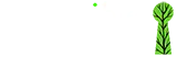 logo Accessible Forest